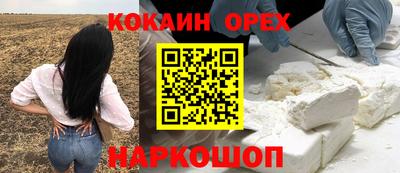 гидропоника Гусиноозёрск