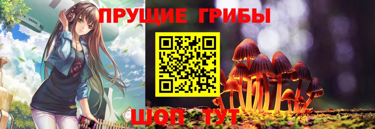 Галлюциногенные грибы Magic Shrooms  Вход с VPN  Нижний Тагил 
